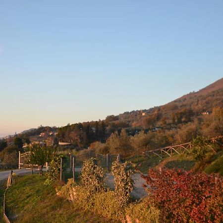 Locazione Turistica Villa Delle Rose Assis Exterior foto